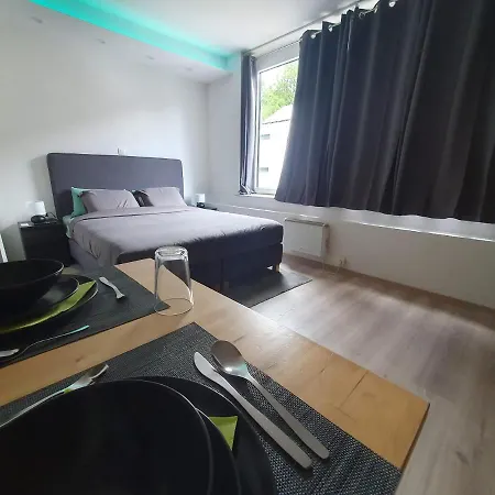 Le Cosy - Queen-Size, Full Equipe, Wifi, Parking Namur Exterior photo