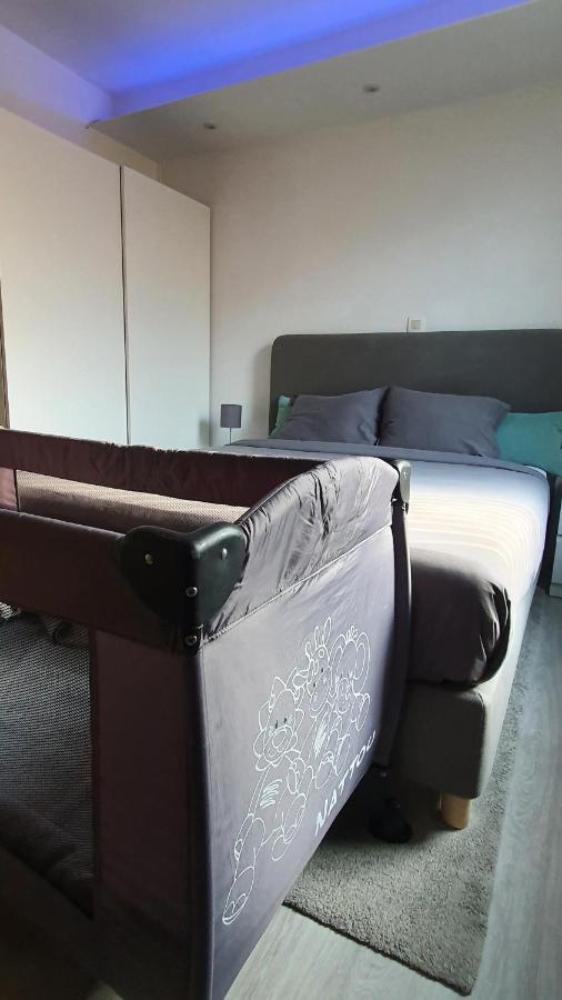 Apartment Le Cosy - Queen-size, Full Equipe, Wifi, Parking *